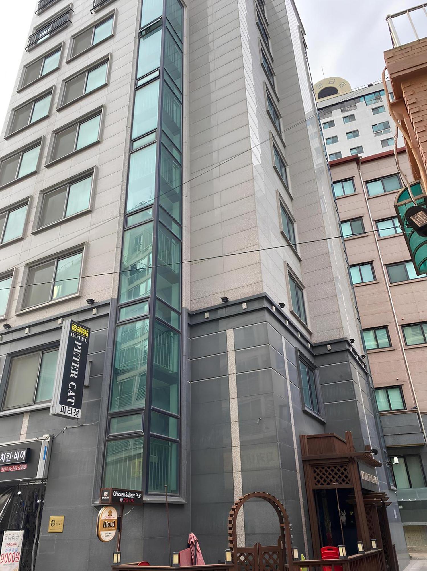 Ssh Ikseon Peter Cat Hostel Seul Exterior foto