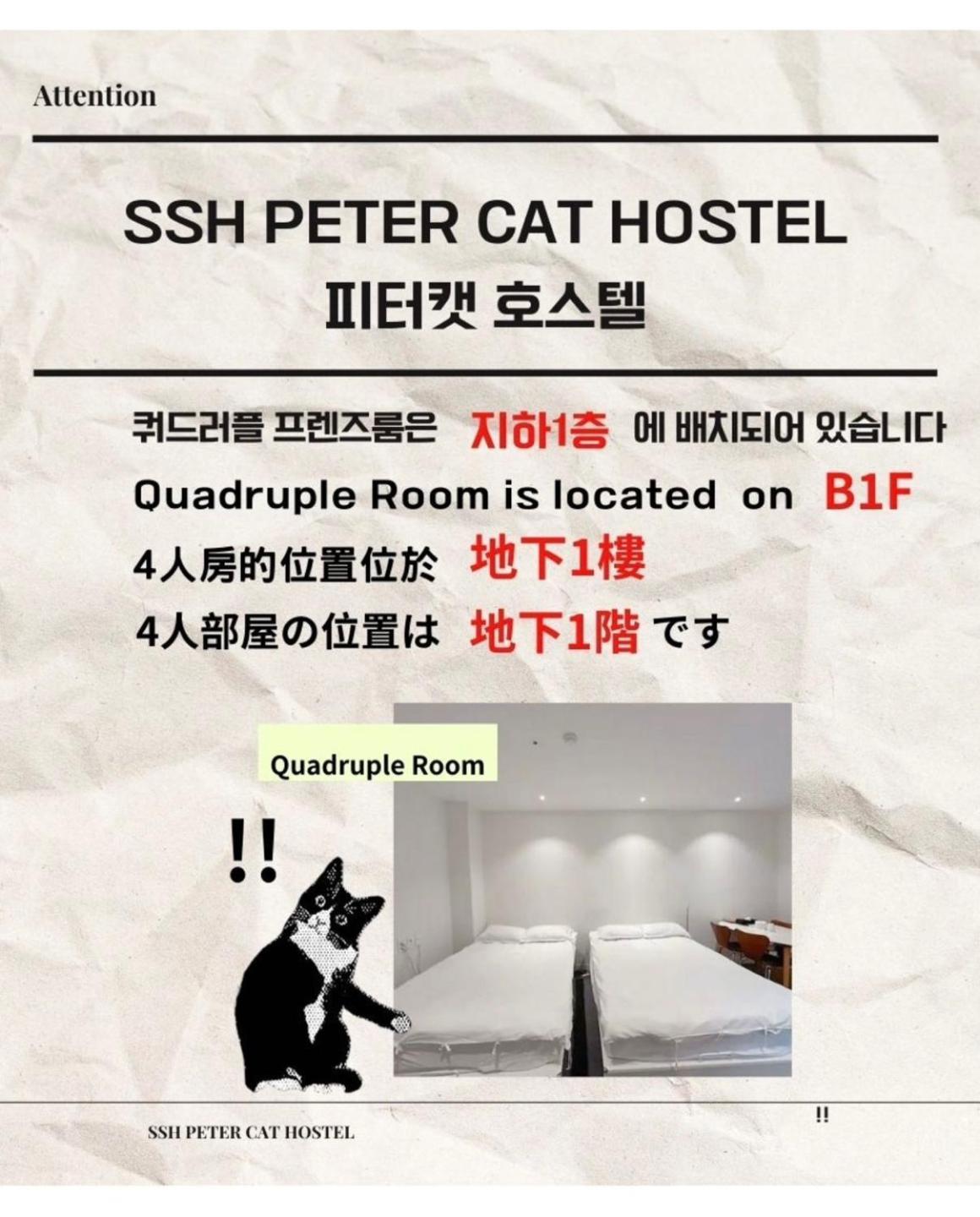 Ssh Ikseon Peter Cat Hostel Seul Exterior foto